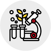 Ciencias Exactas y Naturales